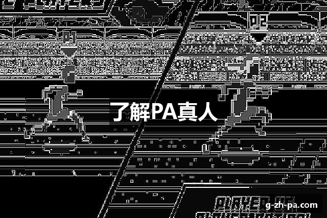 了解PA真人
